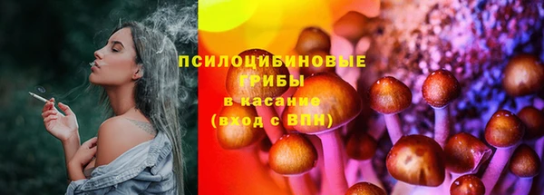 стаф Волосово