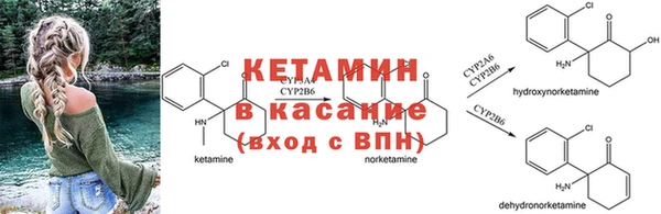шишки Володарск