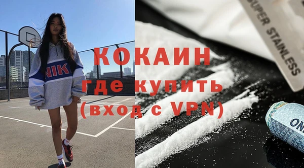 шишки Володарск