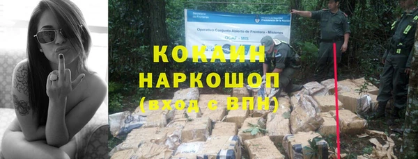 стаф Волосово